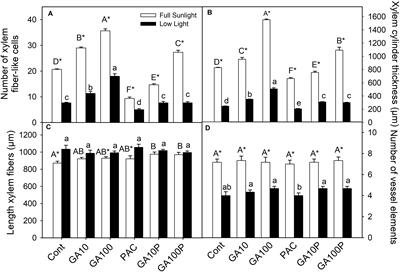 Increased Gibberellins and Light Levels Promotes Cell Wall Thickness and Enhance Lignin Deposition in Xylem Fibers
